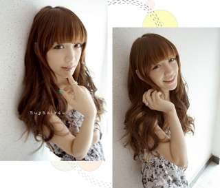 Chic Bangs Fringes with side hair Clip in on Hair Extensions Front 