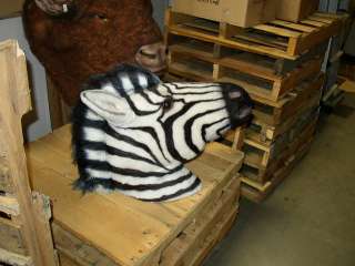 LIFE SIZE Zebra Head Wild Jungle Zoo Animal Safari  