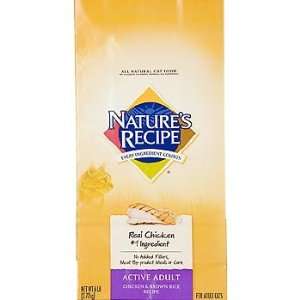 Natures Recipe Cat Dry Adult Chicken Grocery & Gourmet Food