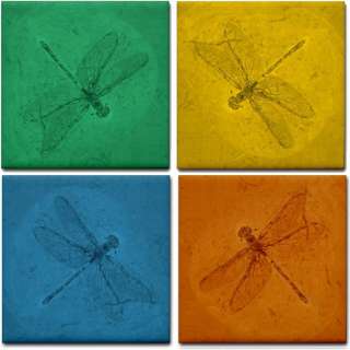 dragonfly insect fossil ceramic tile coasters set of 4 different 