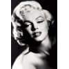 Empire 375421 Marilyn Monroe   Stencil   Klassiker Film Poster   61 x 