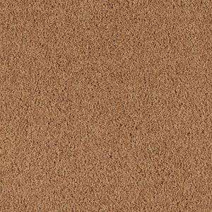 Platinum Plus Command Perf II  Color Canyon Wall 12 ft. Carpet (priced 