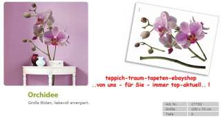 FOTOTAPETE VLIES Größe M XXL Orchidee pink Phalaenopsis  