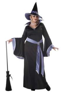 Plus Size Incantasia, The Glamour Witch Costume (16 22)  