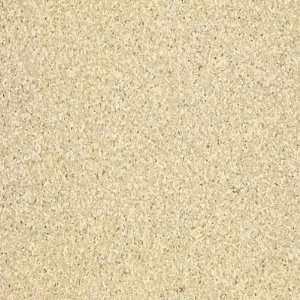  Armstrong Medintech Homogeneous Oatmeal Vinyl Flooring 