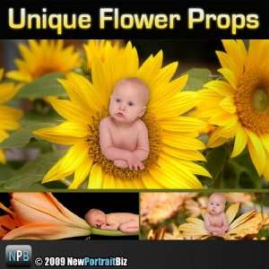  Digital Photography Backgrounds Flowers   Use As Photo 