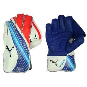   Puma Pulse 3500 Cricket Wicketkeeping Gloves   Mens: Sports & Outdoors