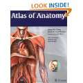 Atlas of Anatomy (Thieme Anatomy) Paperback by Anne M Gilroy