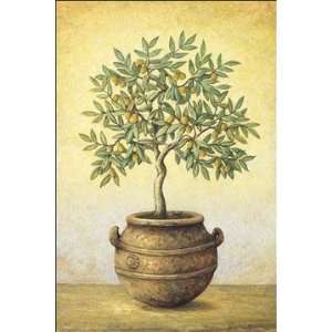  Green Olive Tree by John Park. Size 16 inches width by 20 