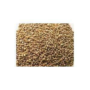  Alfalfa Sprouting Seed Organic High Sprout Germination, Edible 