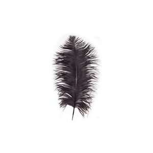  Black Ostrich Feathers 14/17 