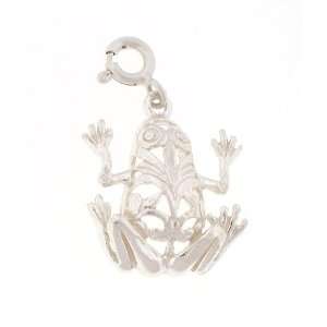   Silver 22 Box Chain Necklace with Charm Frog and Clasp Jewelry