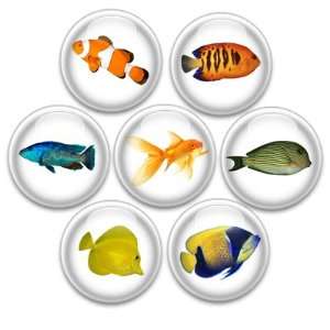    Decorative Push Pins or Magnets 7 Small Fish: Kitchen & Dining