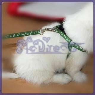 Bone & Paw Small Dog Pet Leash Lead Harness Tool Green  
