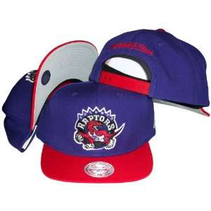 Toronto Raptors Mitchell & Ness Purple Throwback Vintage Snap Back Hat 