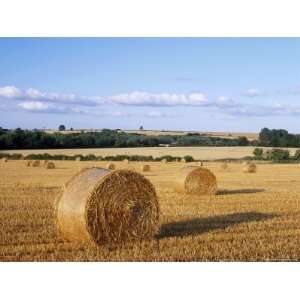  Agricultural Landscape with Straw Bales in a Cut Wheat 