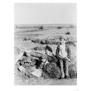  Children in Hay Field in Russia Photograph   Russia Giclee 